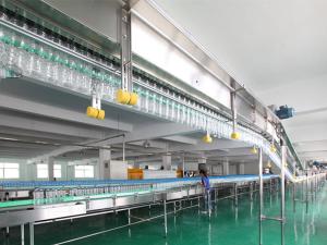 Bottle Conveyor System