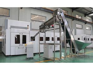Rotary Blow Moulder