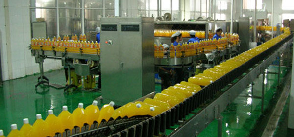 Bottle Inverter / Cap Sterilizer